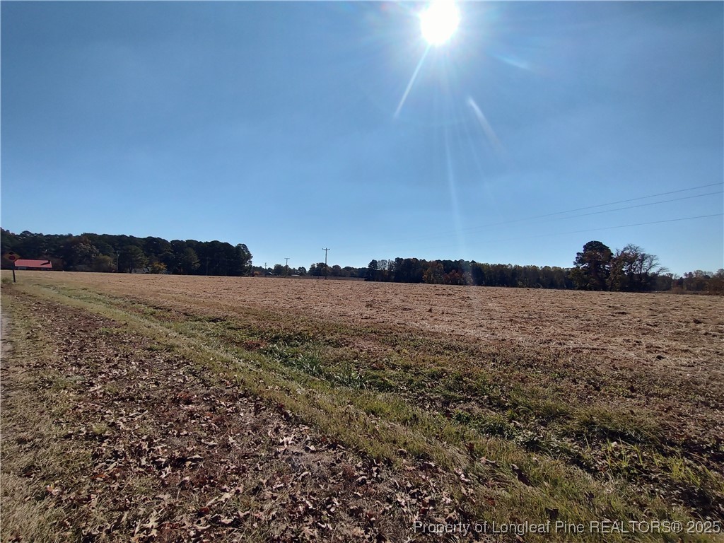 0 Castleberry Road Sanford, NC 27332 - Photo 3 of 5 a view of lake and mountain