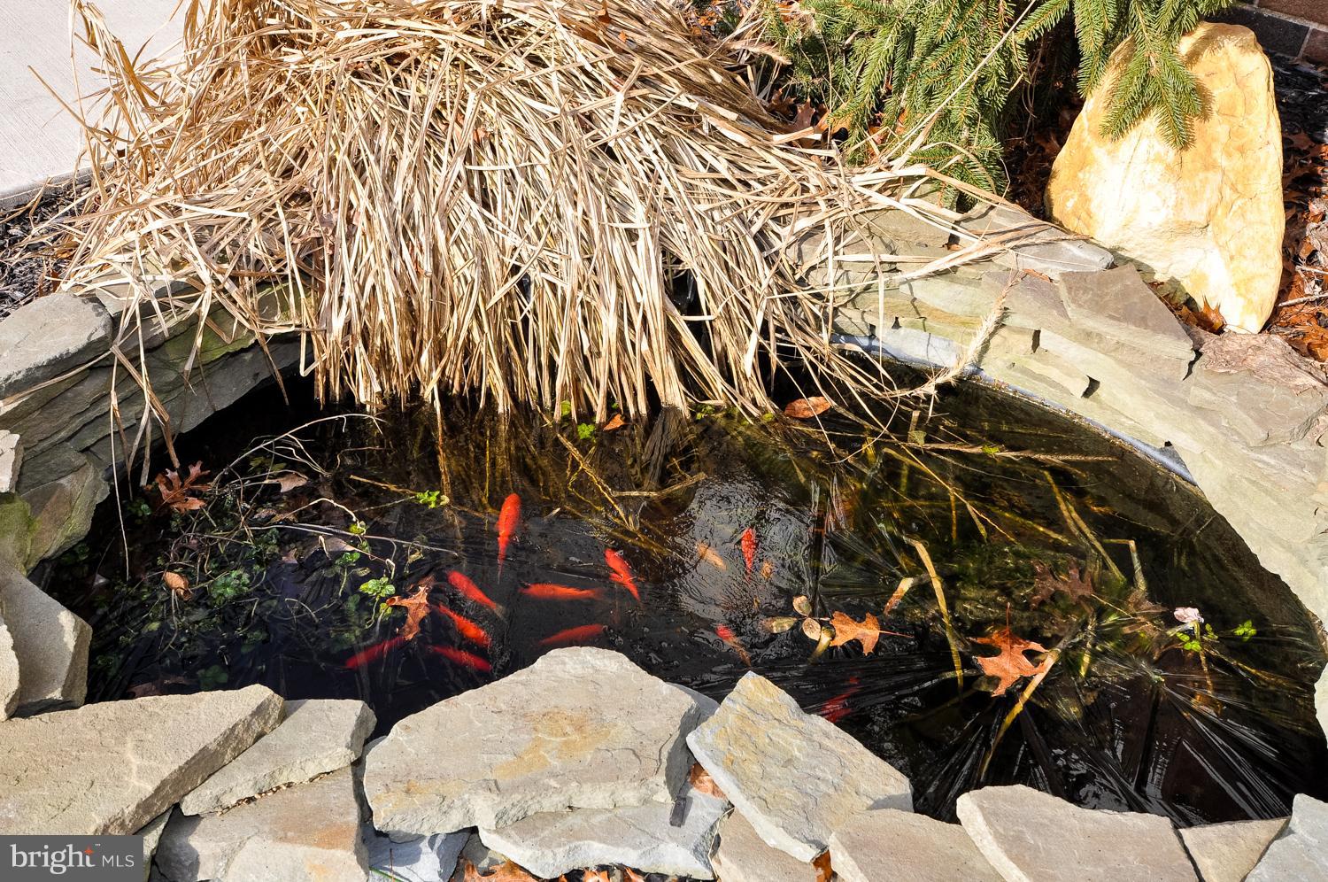 1489 Centerton Road Pittsgrove, NJ 08318 - Photo 25 of 31 Fish Pond