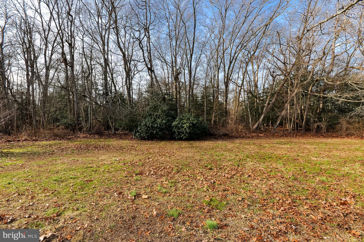 1489 Centerton Road Pittsgrove, NJ 08318 - Photo 31 of 31 Back Yard
