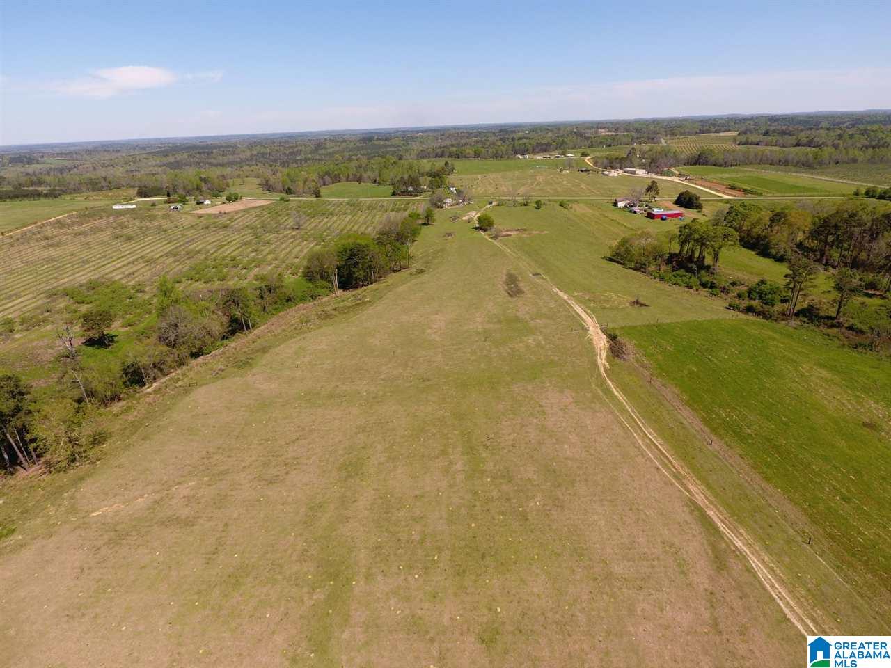0 County Road 30, Unit 1 Clanton, AL 35045 - Photo 24 of 32