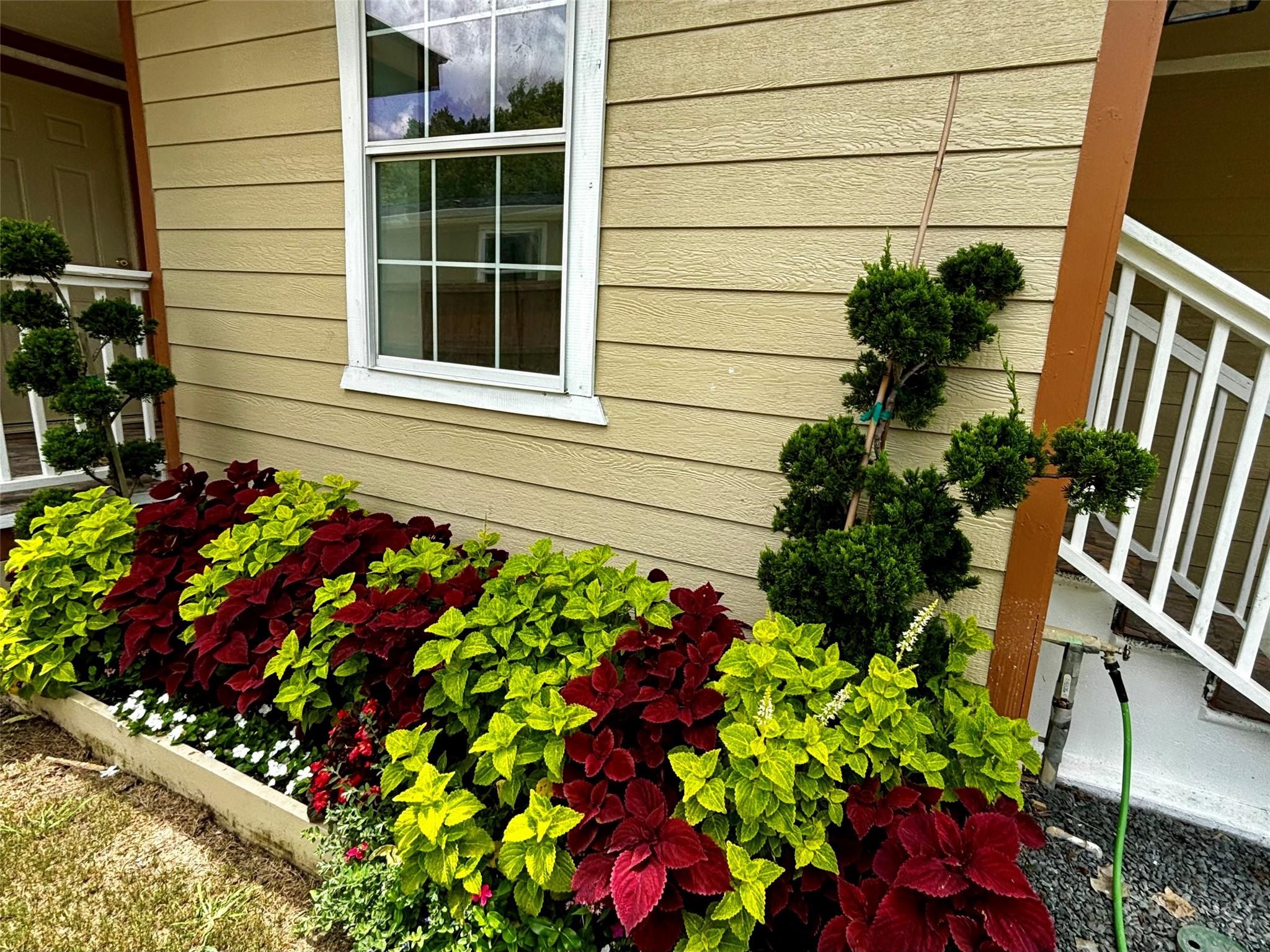 401 North 11th Street West Columbia, TX 77486 - Photo 11 of 15 a flower garden in front of a window