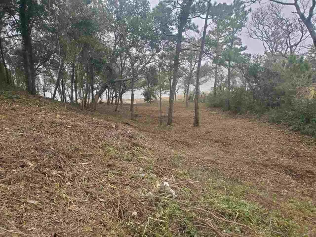 $499,000 | 0 Willett Tillett Road, Manteo, NC 27954