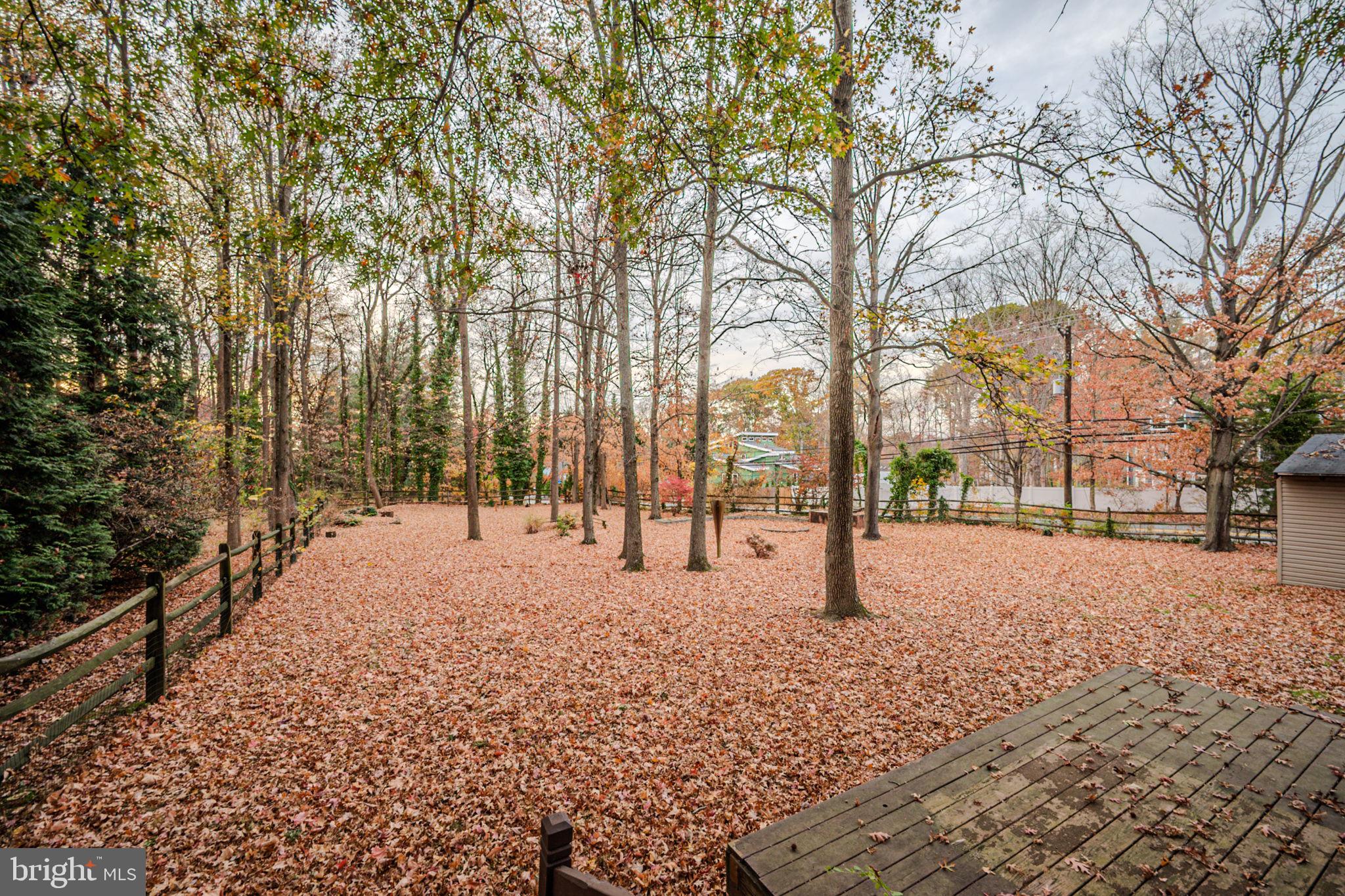 109 Tall Pines Road Newark, DE 19713 - Photo 42 of 44