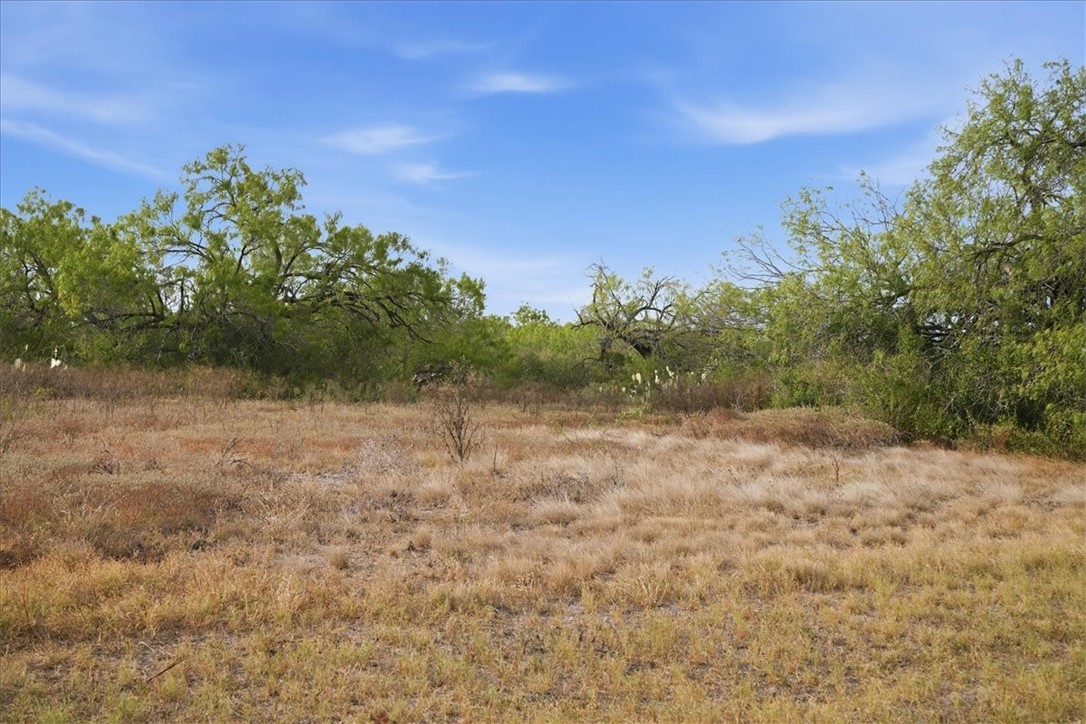 1991 South Highway 37 Three Rivers, TX 78071 - Photo 10 of 60 Gallery Image 10