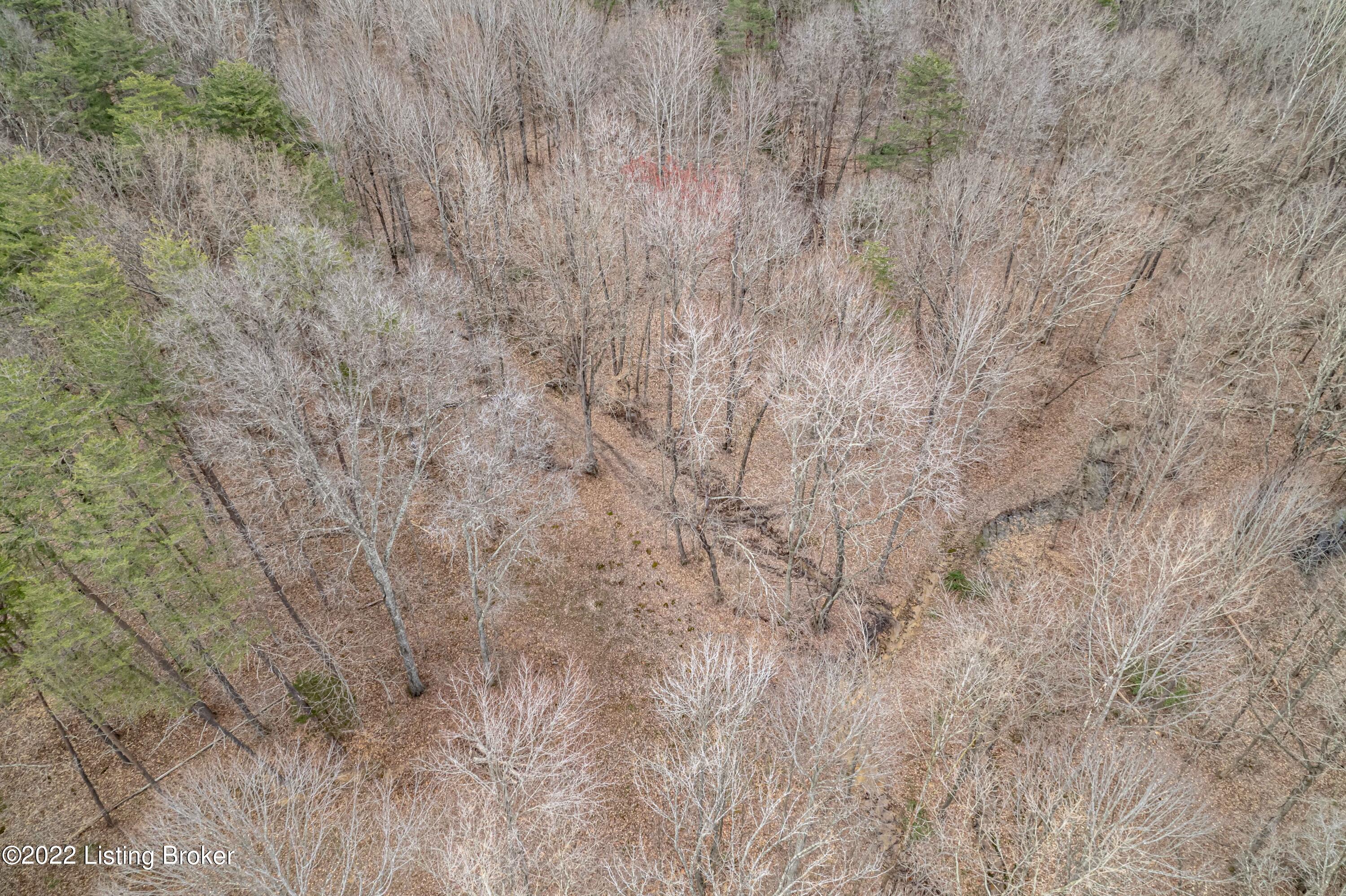 0 Collings Hill Road Lebanon Junction, KY 40150 - Photo 39 of 81 DJI_0741