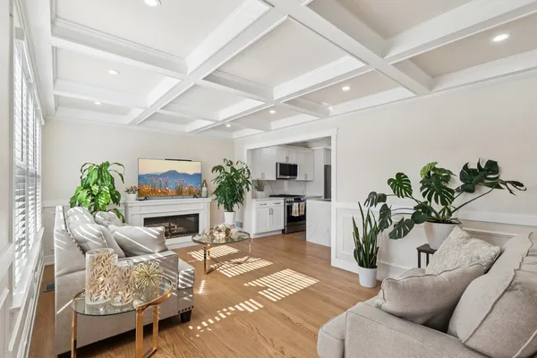 a living room with furniture and a potted plant