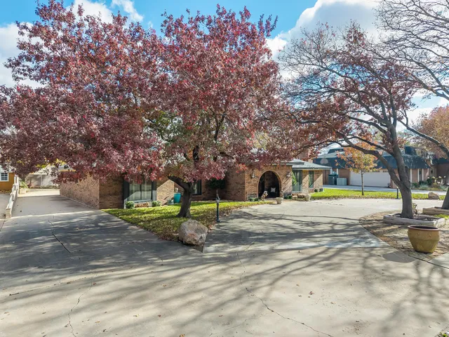 a view of road with large trees