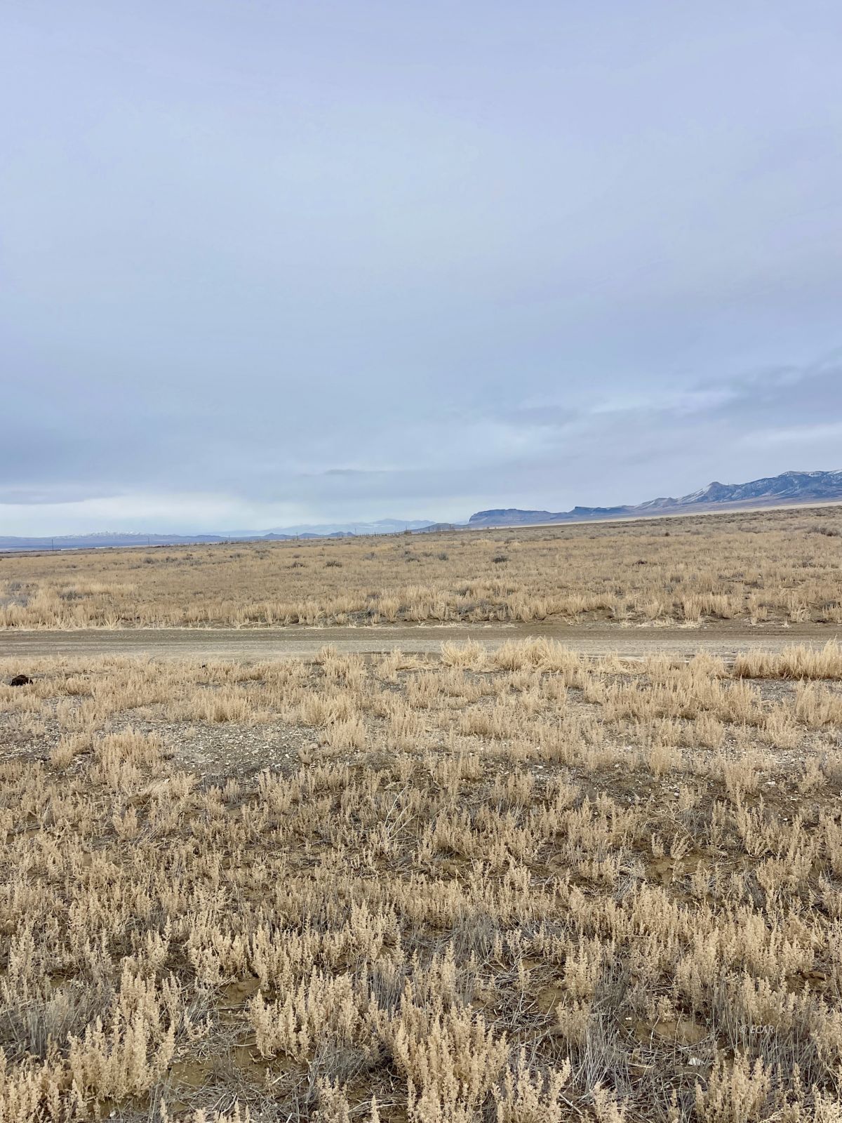 South Church Road Montello, NV 89830 - Photo 18 of 25
