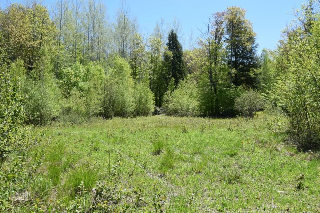 133 Loon Road Embden, ME 04958 - Photo 17 of 18 House site 2 with septic installed