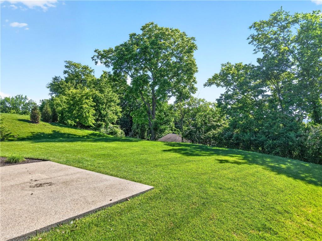 202 Indian Ridge Lane Canonsburg, PA 15317 - Photo 8 of 46 Another view of backyard