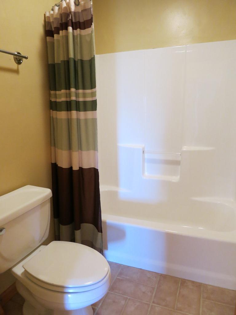 351 Borden Run Road Fincastle, VA 24090 - Photo 32 of 83 Hall Bath Entry Level
