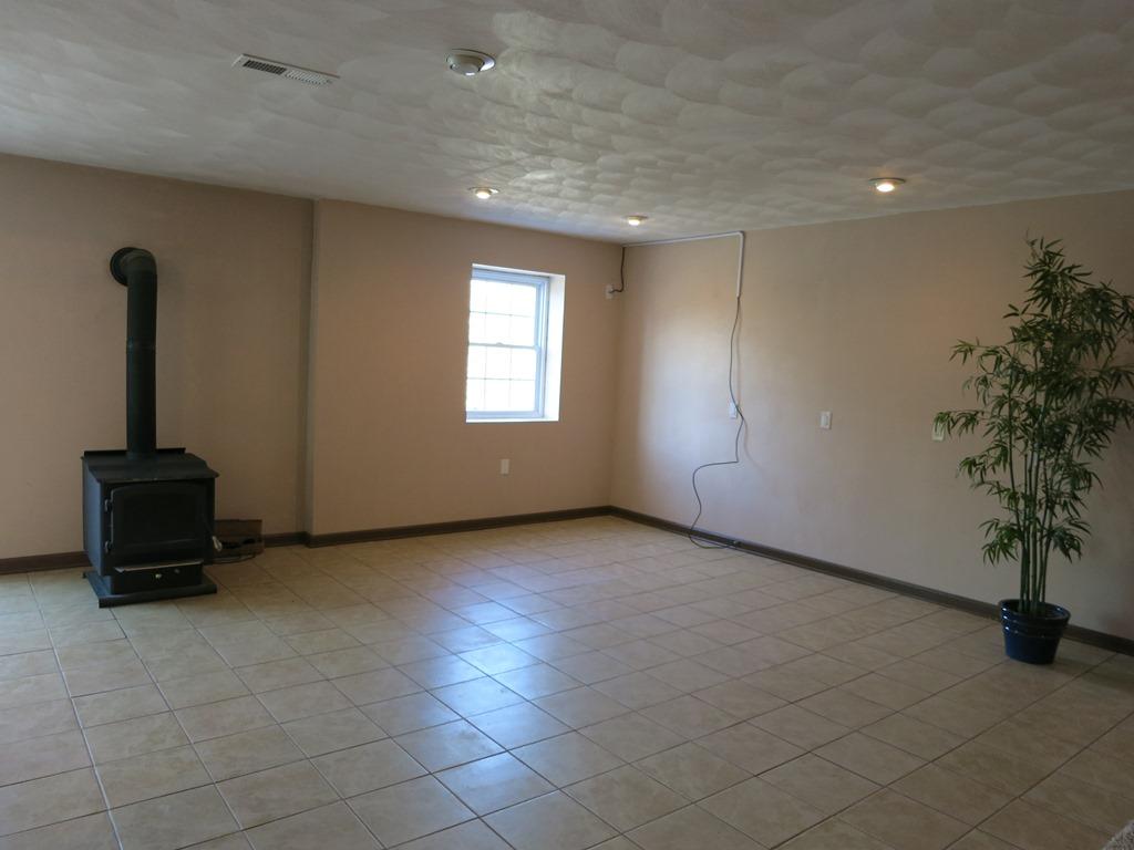 351 Borden Run Road Fincastle, VA 24090 - Photo 36 of 83 Family Room Lower Level