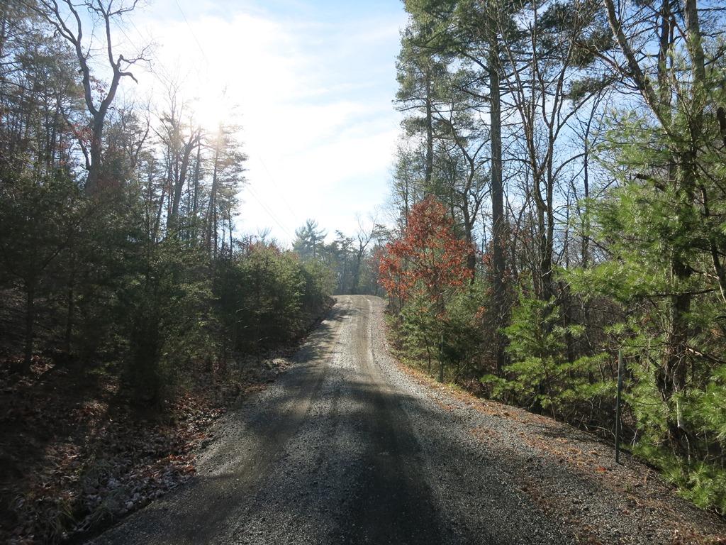 351 Borden Run Road Fincastle, VA 24090 - Photo 42 of 83 Entry Driveway