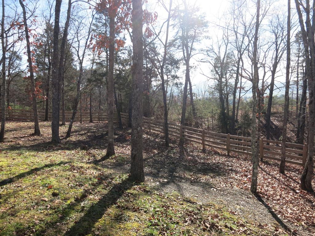 351 Borden Run Road Fincastle, VA 24090 - Photo 51 of 83 Board and Wire Fencing