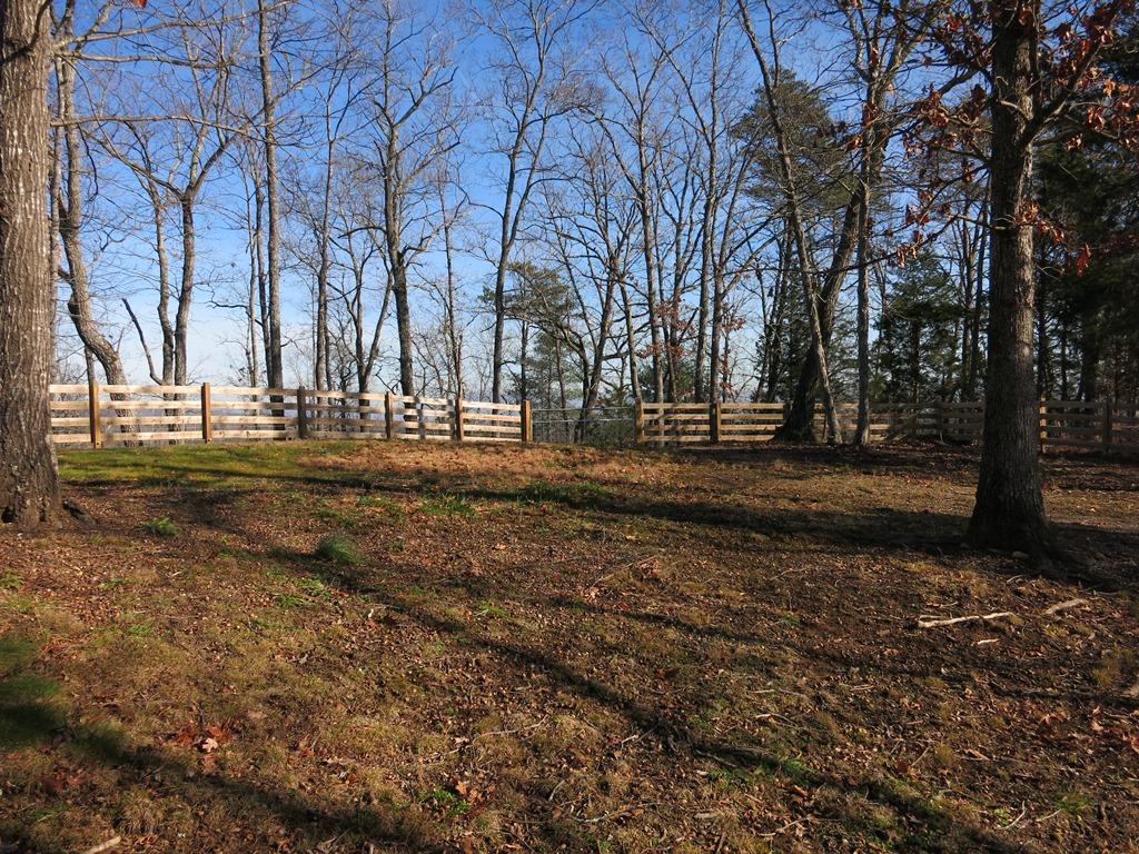 351 Borden Run Road Fincastle, VA 24090 - Photo 52 of 83 Board and Wire Fencing