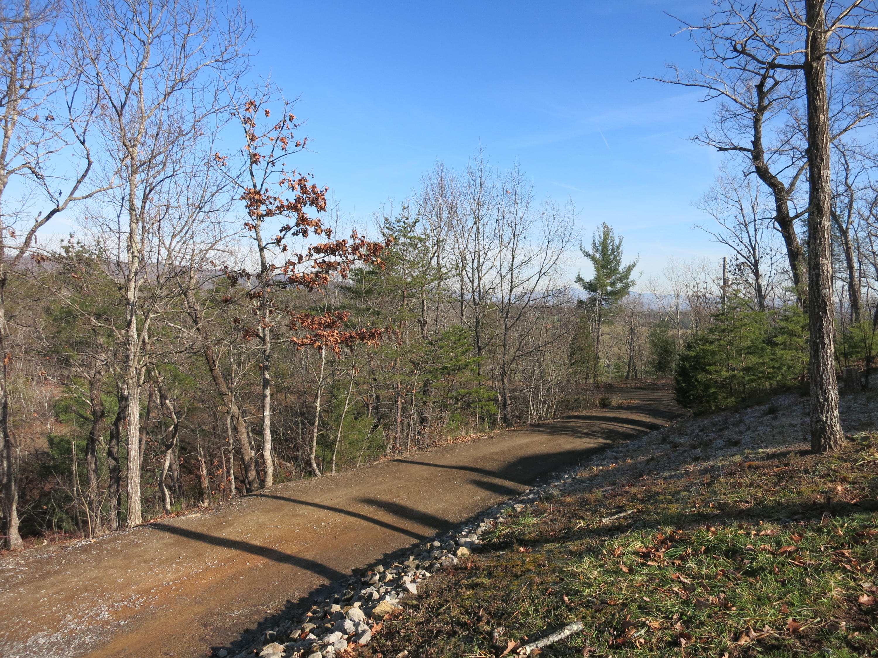 351 Borden Run Road Fincastle, VA 24090 - Photo 63 of 83 Entry Driveway