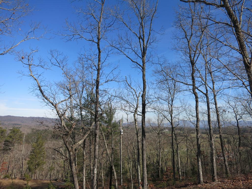 351 Borden Run Road Fincastle, VA 24090 - Photo 65 of 83 View From Front Porch
