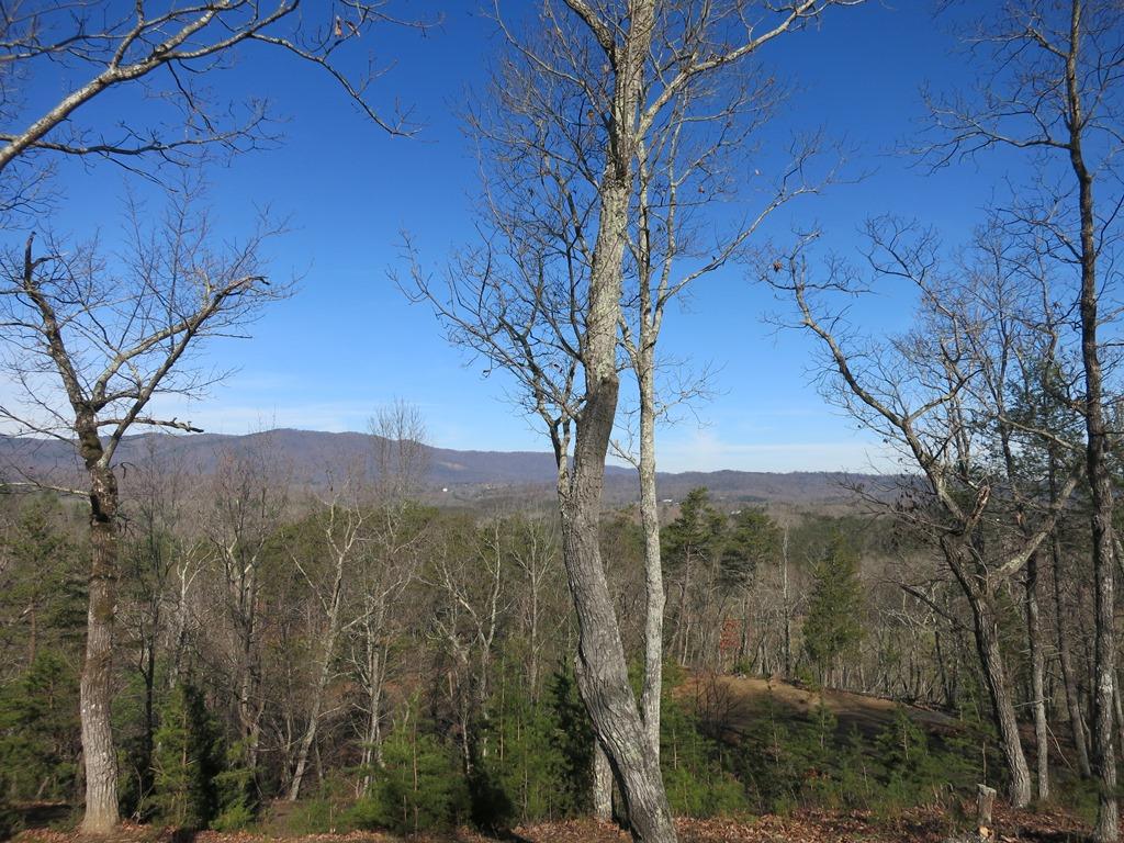 351 Borden Run Road Fincastle, VA 24090 - Photo 66 of 83 View from Front Porch