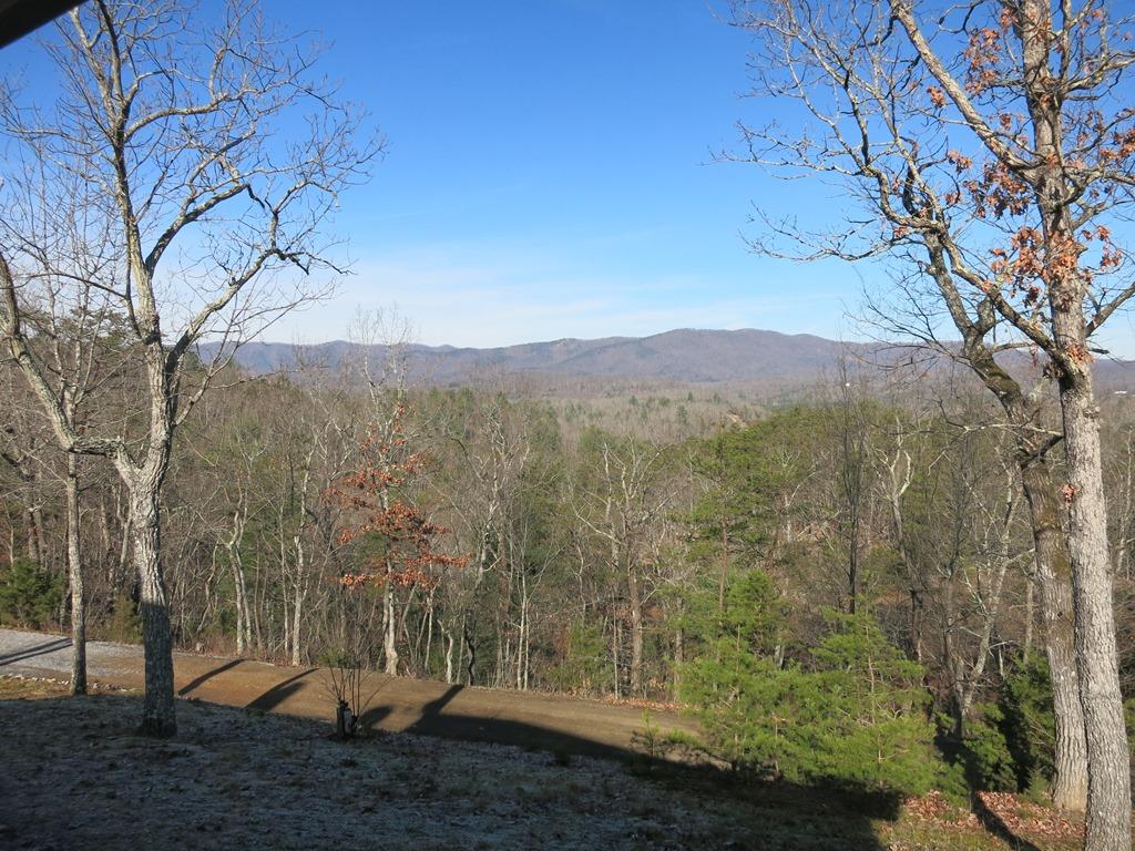 351 Borden Run Road Fincastle, VA 24090 - Photo 67 of 83 View From Front Porch