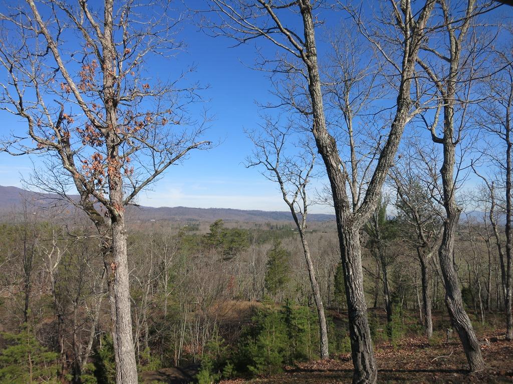 351 Borden Run Road Fincastle, VA 24090 - Photo 68 of 83 View From Front Porch