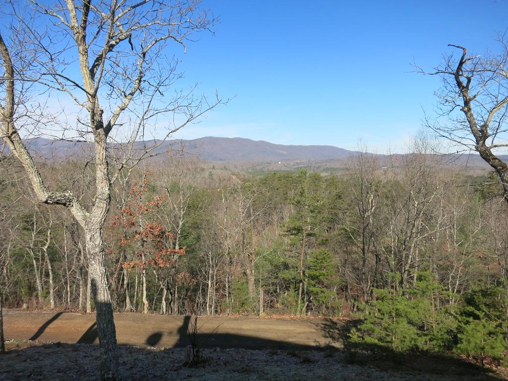 351 Borden Run Road Fincastle, VA 24090 - Photo 69 of 83 View from Front Porch