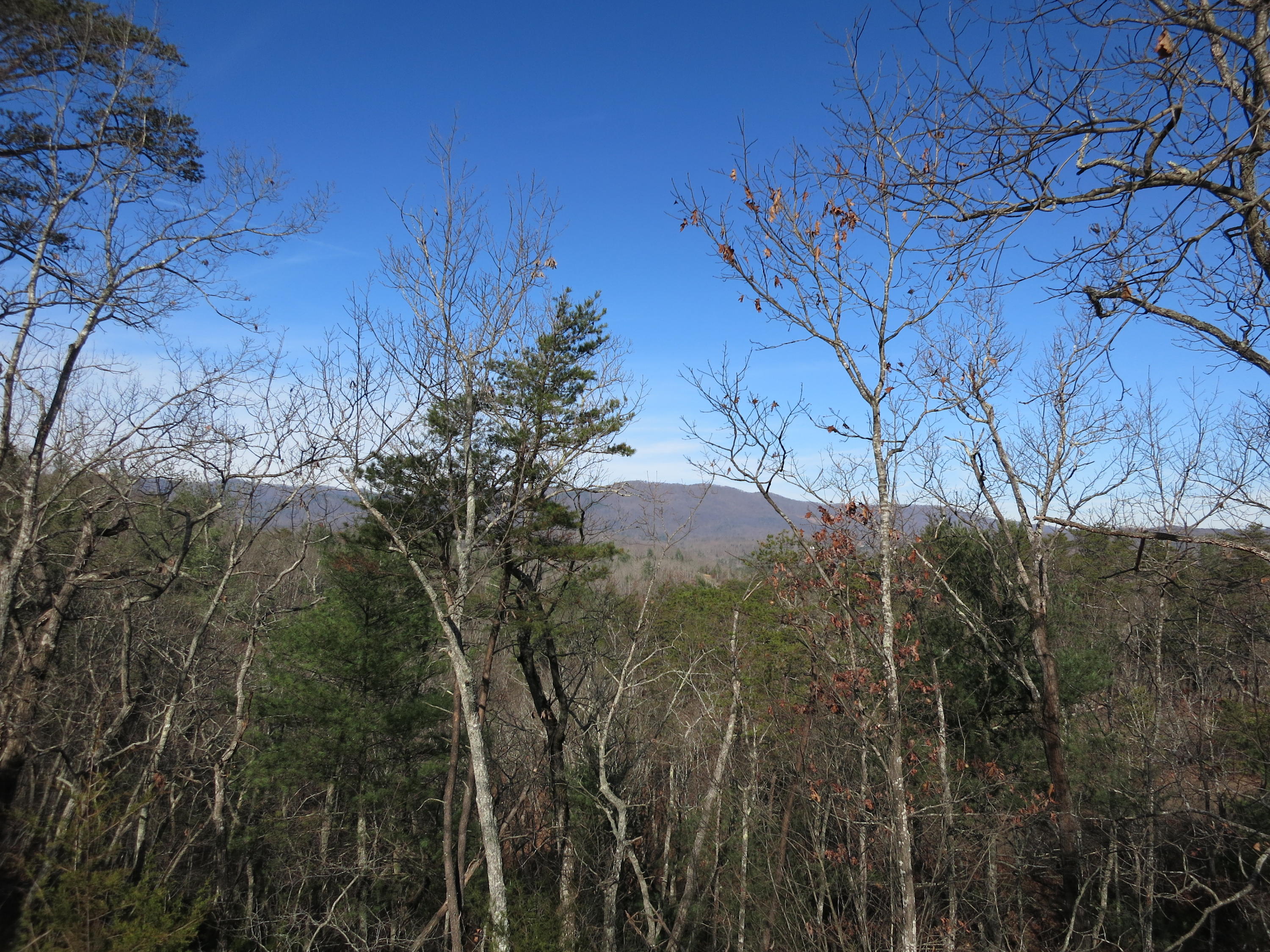 351 Borden Run Road Fincastle, VA 24090 - Photo 70 of 83 View