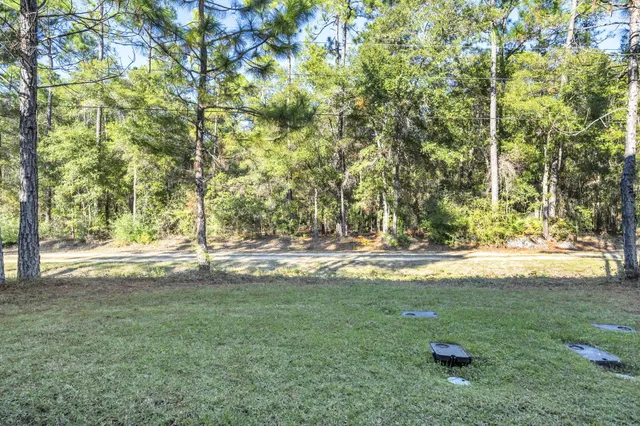 a view of yard with tree