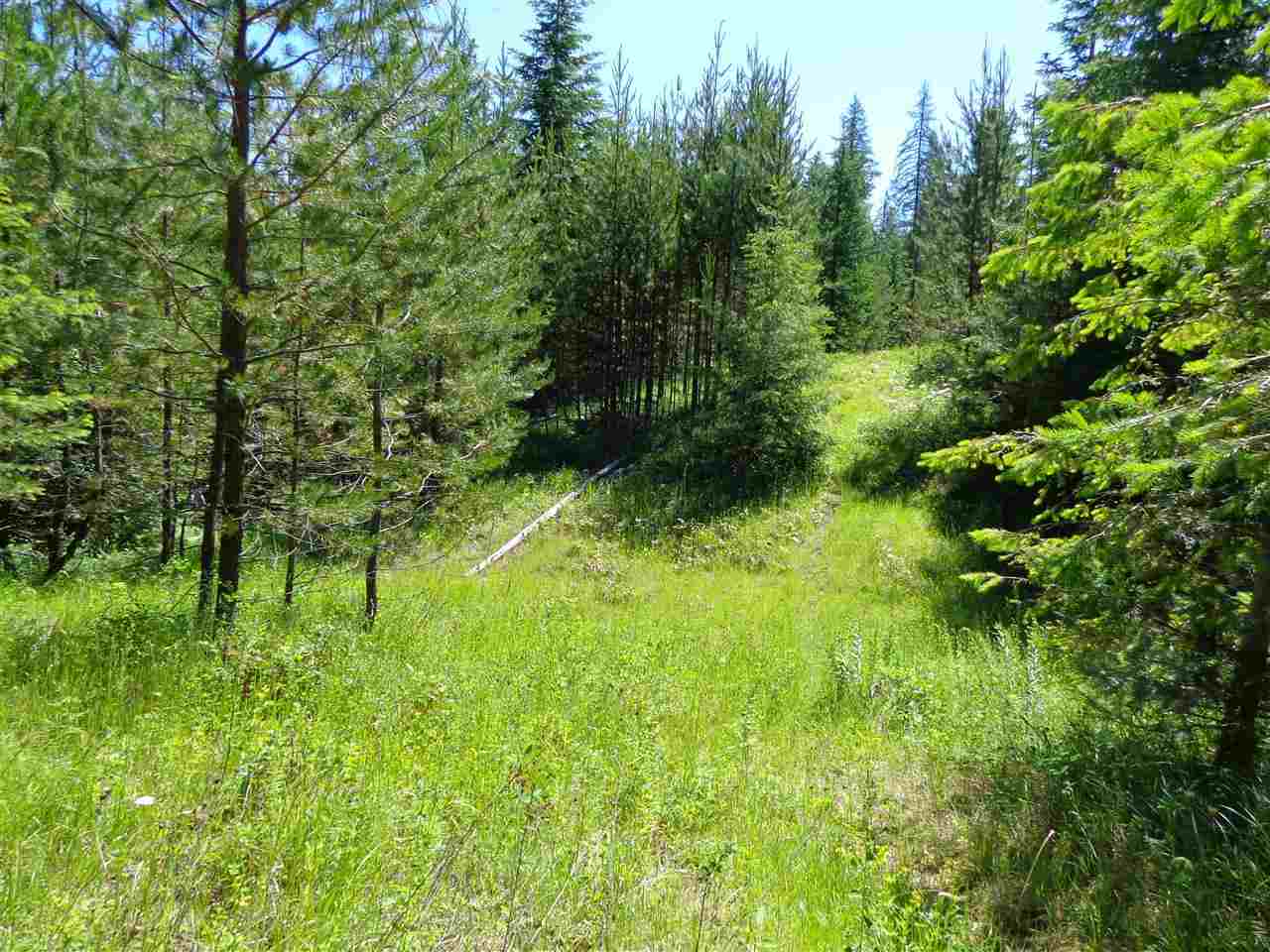 38912 North Madison Road Elk, WA 99009 - Photo 1 of 15