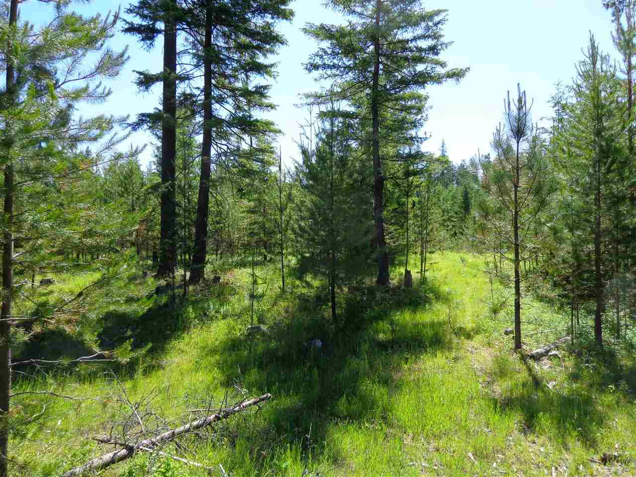 38912 North Madison Road Elk, WA 99009 - Photo 2 of 15