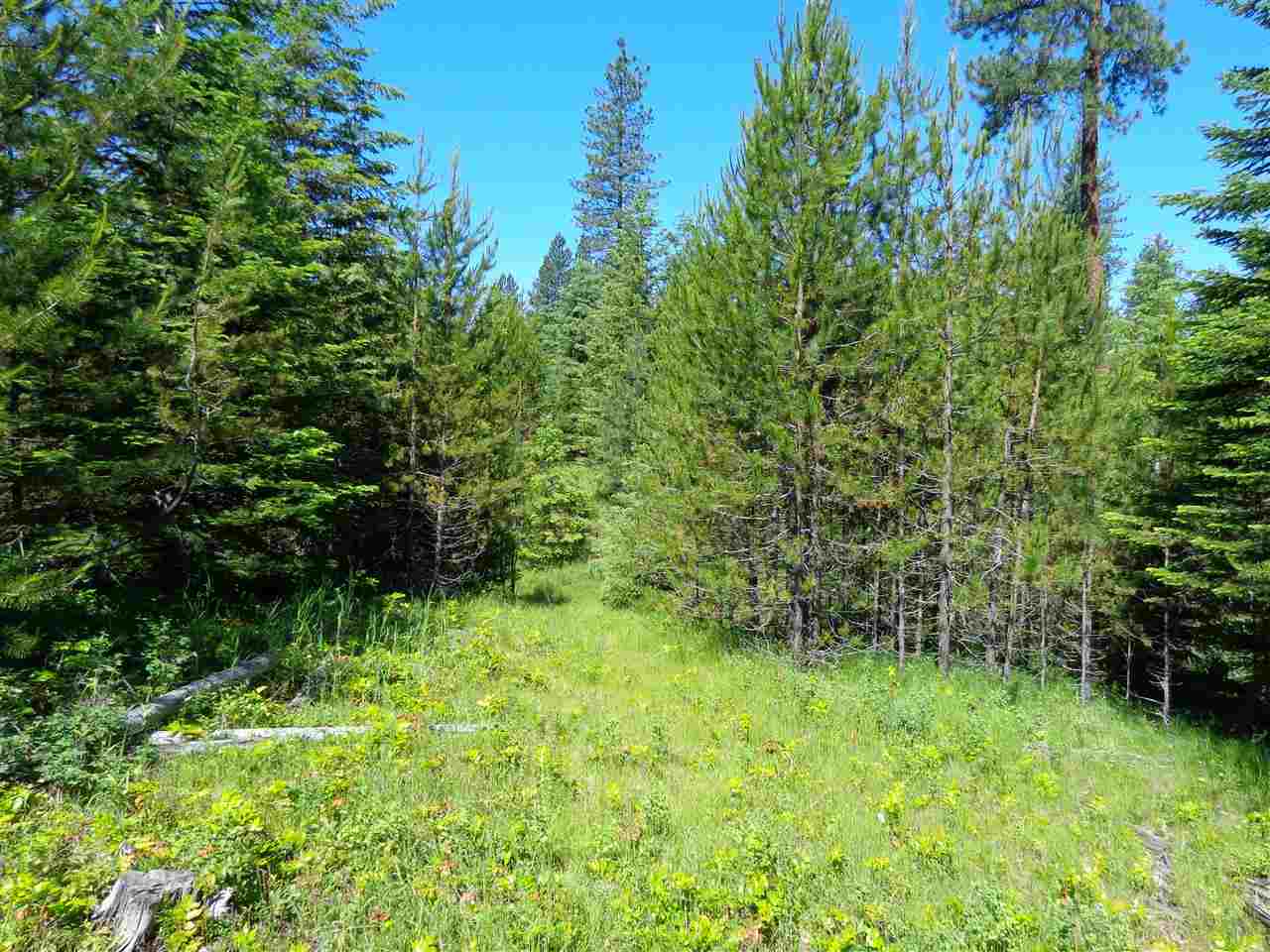 38912 North Madison Road Elk, WA 99009 - Photo 12 of 15