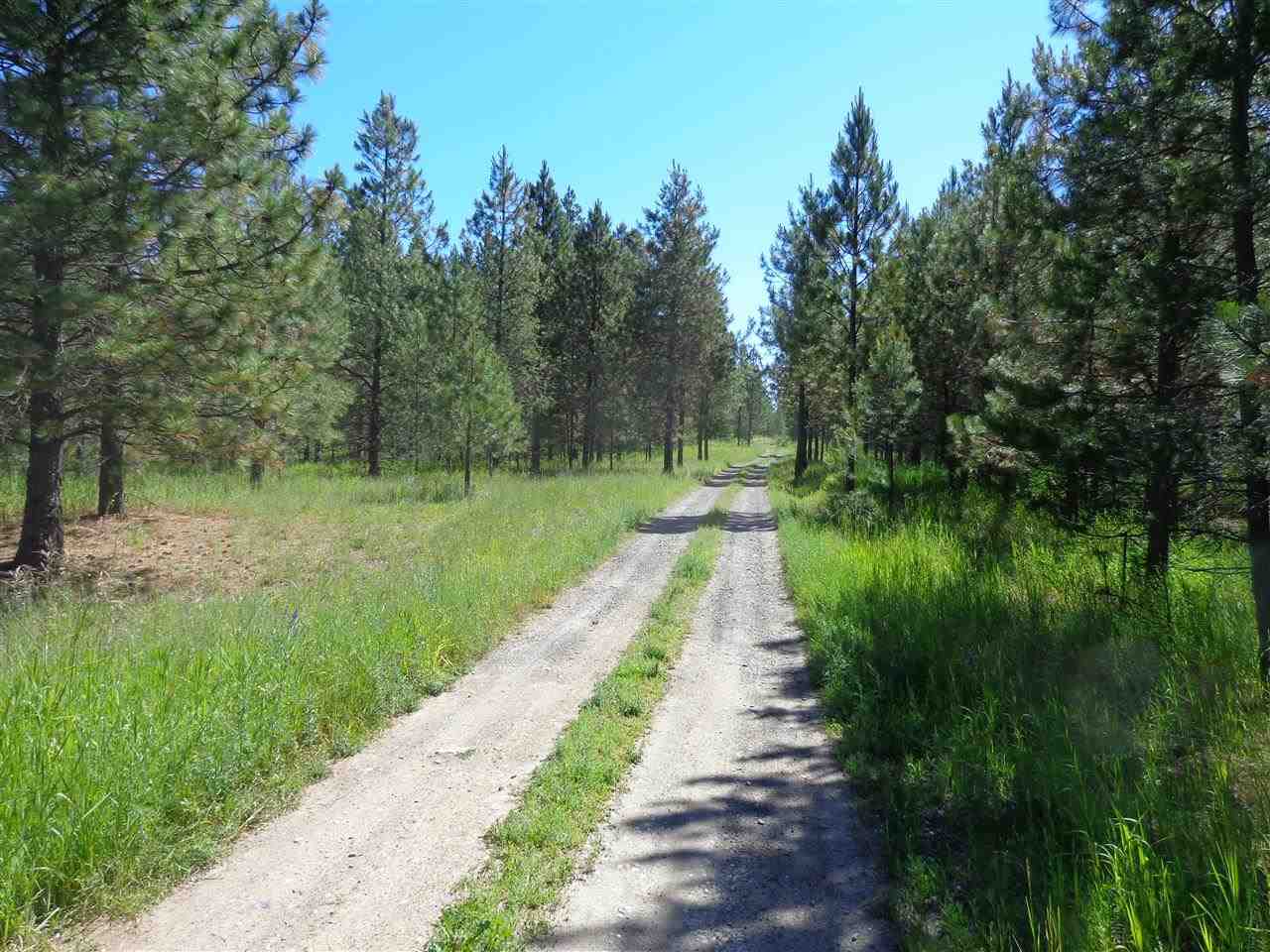 38912 North Madison Road Elk, WA 99009 - Photo 14 of 15
