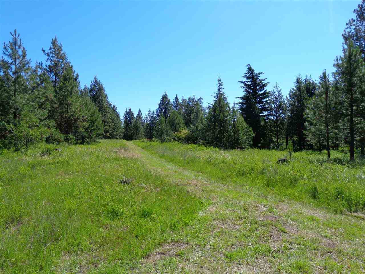 38912 North Madison Road Elk, WA 99009 - Photo 3 of 15