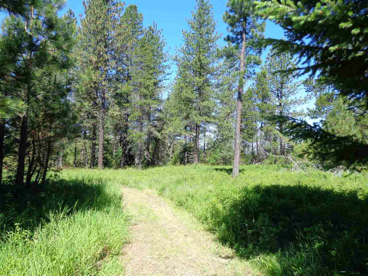 38912 North Madison Road Elk, WA 99009 - Photo 4 of 15