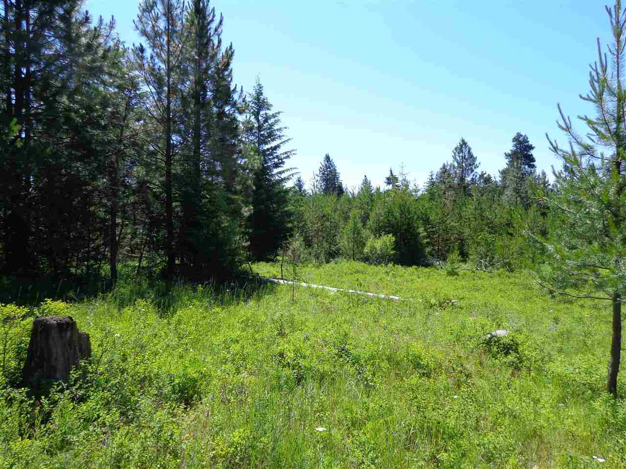 38912 North Madison Road Elk, WA 99009 - Photo 5 of 15