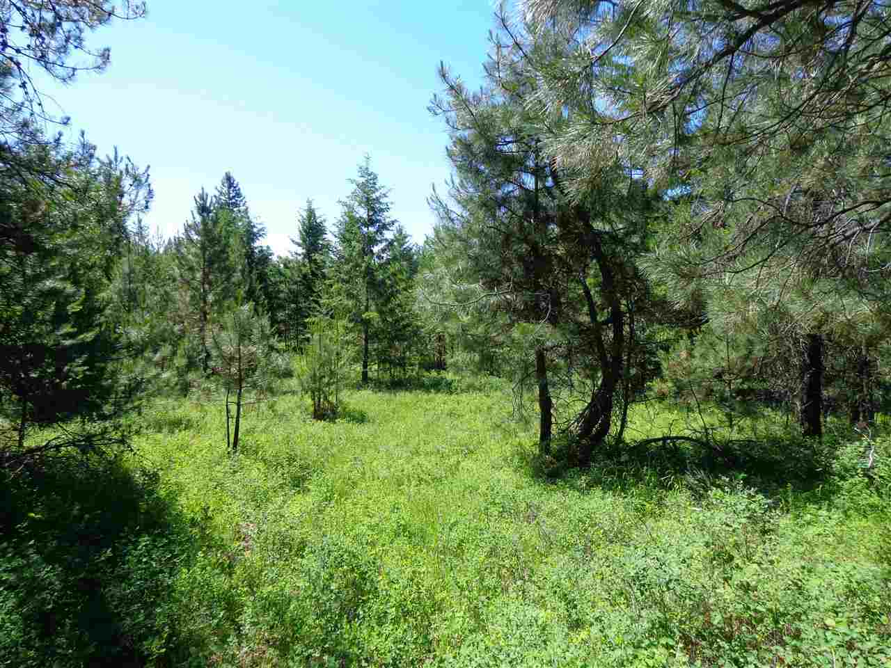 38912 North Madison Road Elk, WA 99009 - Photo 6 of 15