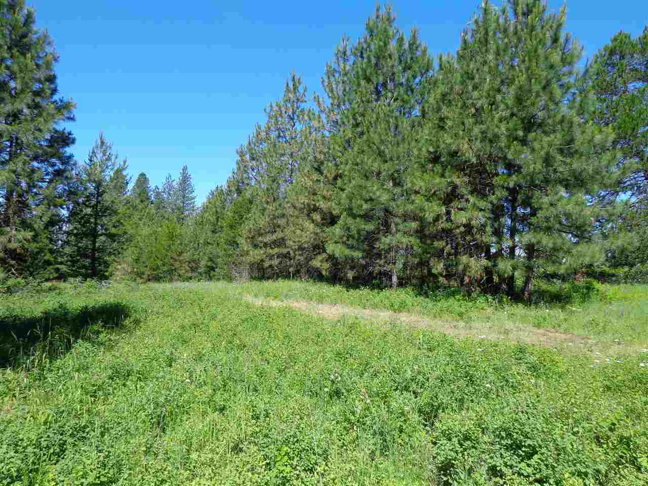 38912 North Madison Road Elk, WA 99009 - Photo 7 of 15