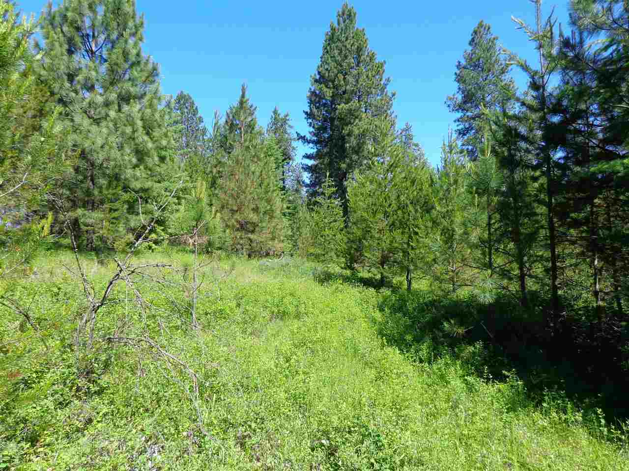 38912 North Madison Road Elk, WA 99009 - Photo 8 of 15