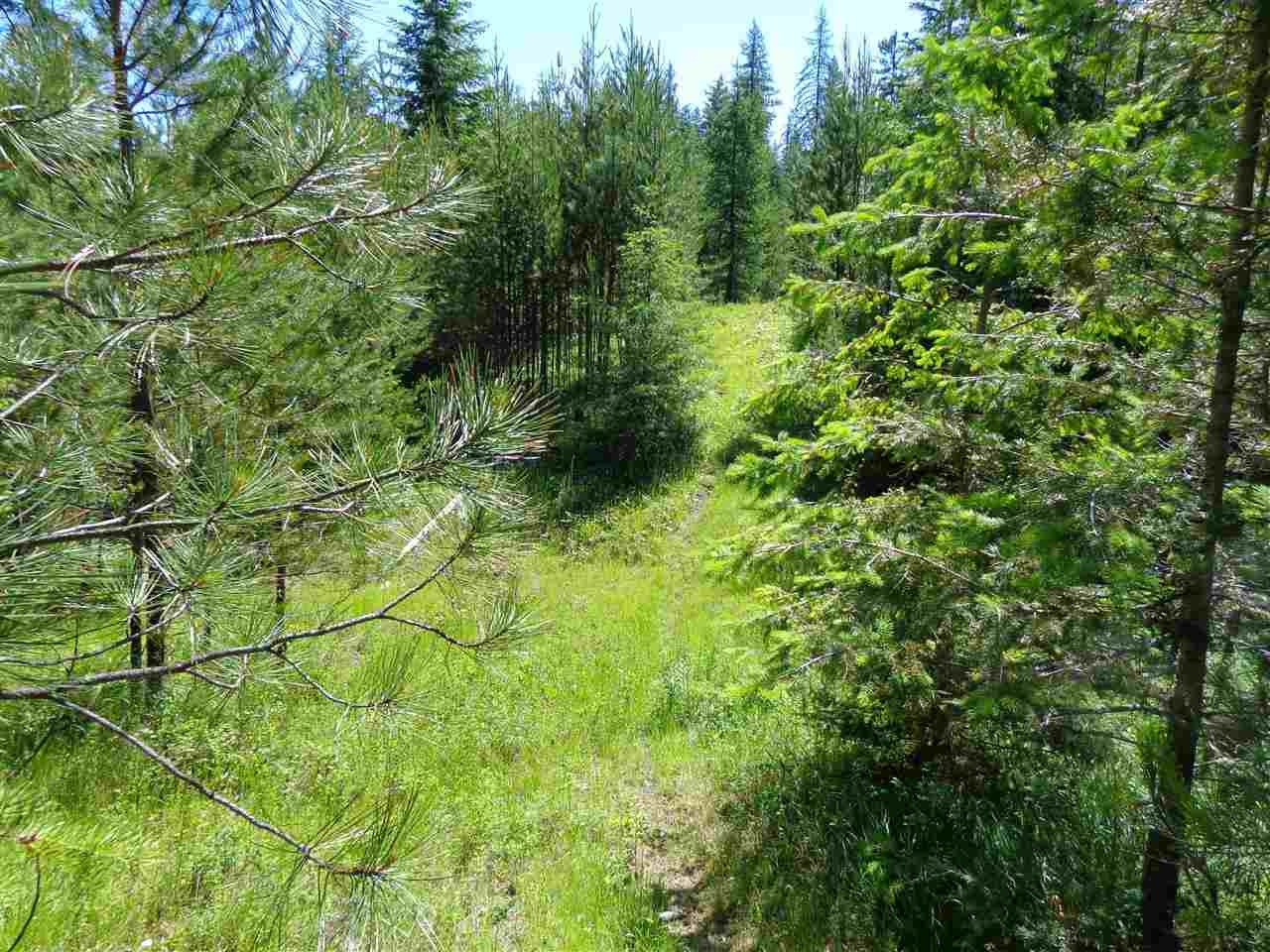 38912 North Madison Road Elk, WA 99009 - Photo 9 of 15