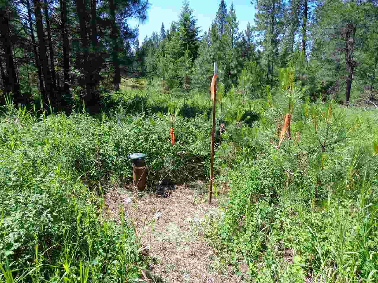38912 North Madison Road Elk, WA 99009 - Photo 10 of 15