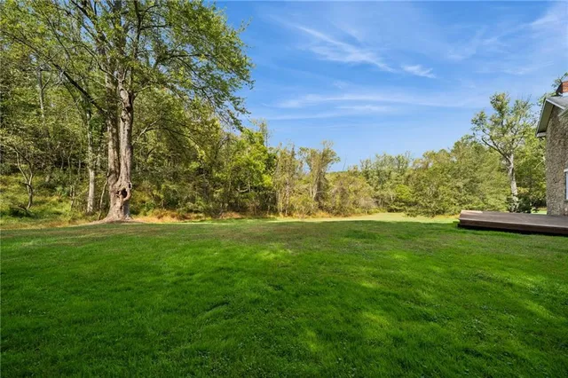 a view of a backyard with wooden floor