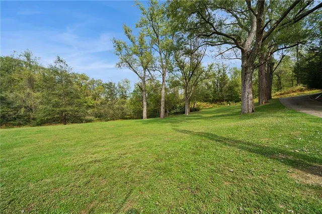 a view of yard with green space