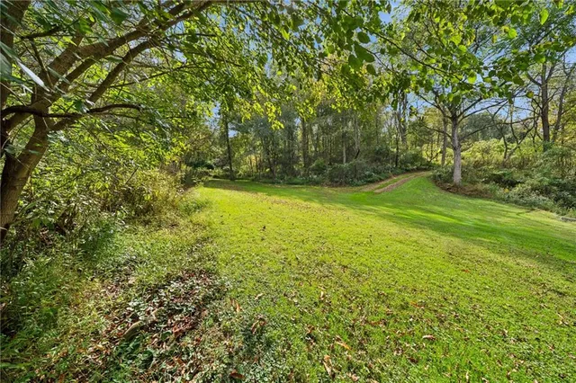 a view of a green yard