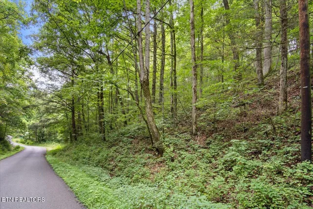 $35,000 | Melvin Hollow Road, La Follette, TN 37766