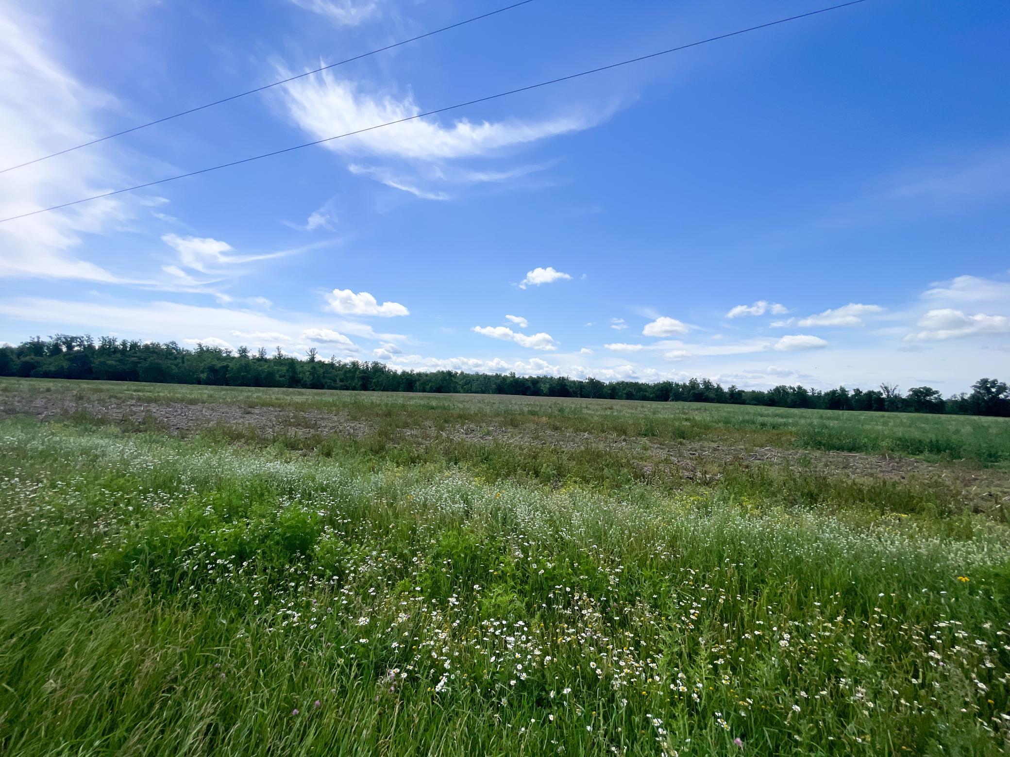 Tbd Boot Lake Road Southwest Bemidji, MN 56601 - Photo 47 of 55