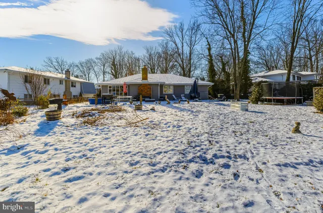 a view of a dry yard with chairs and a tree