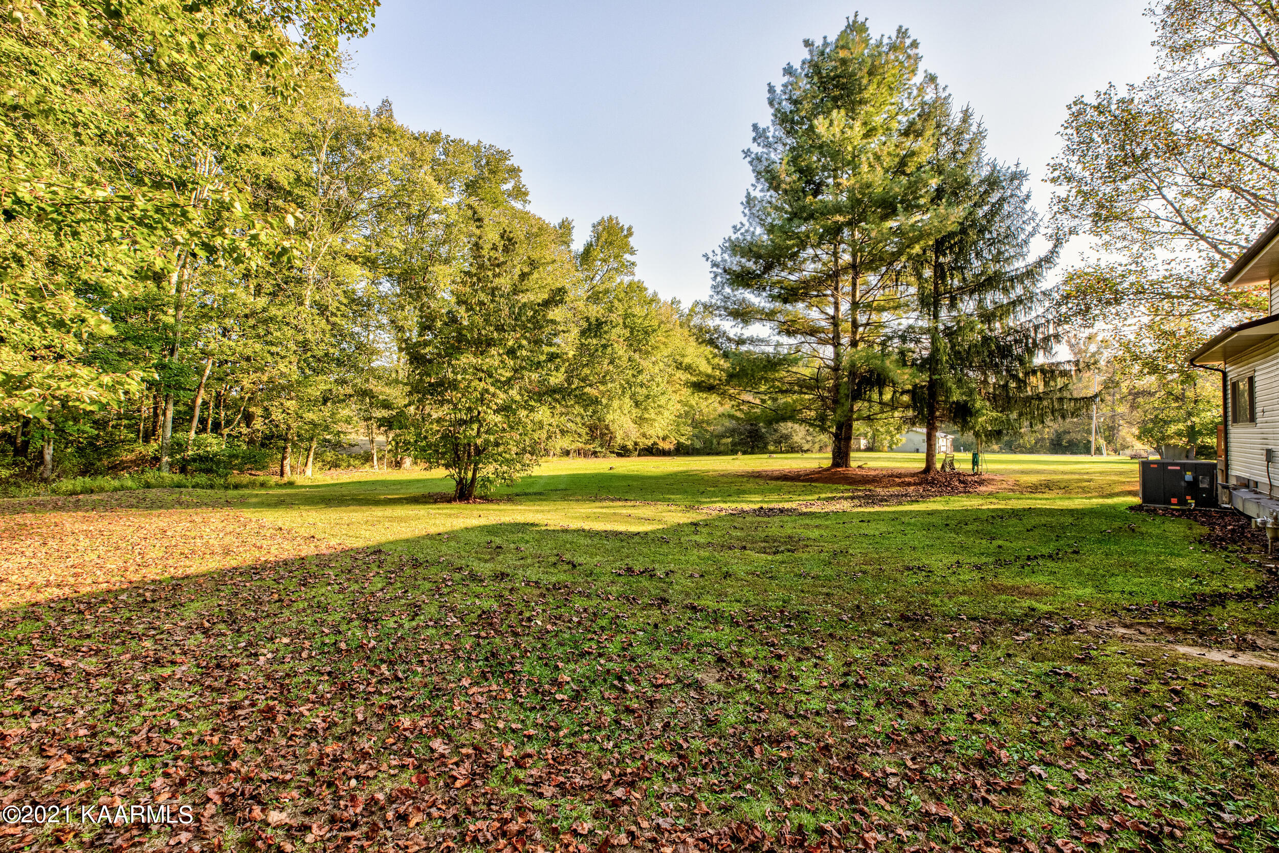 2349 Buffalo Road Oneida, TN 37841 - Photo 34 of 41 Front yard acreage