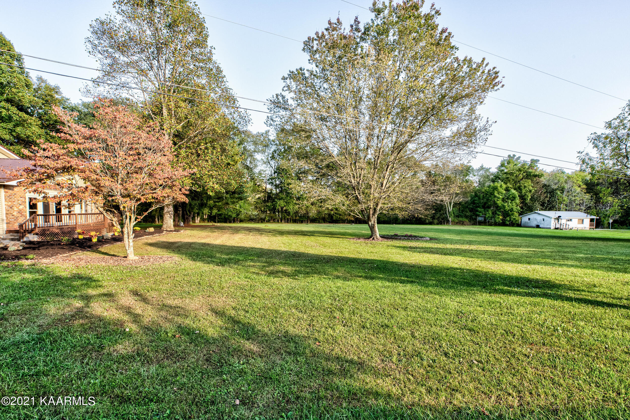 2349 Buffalo Road Oneida, TN 37841 - Photo 35 of 41 Front View of acreage