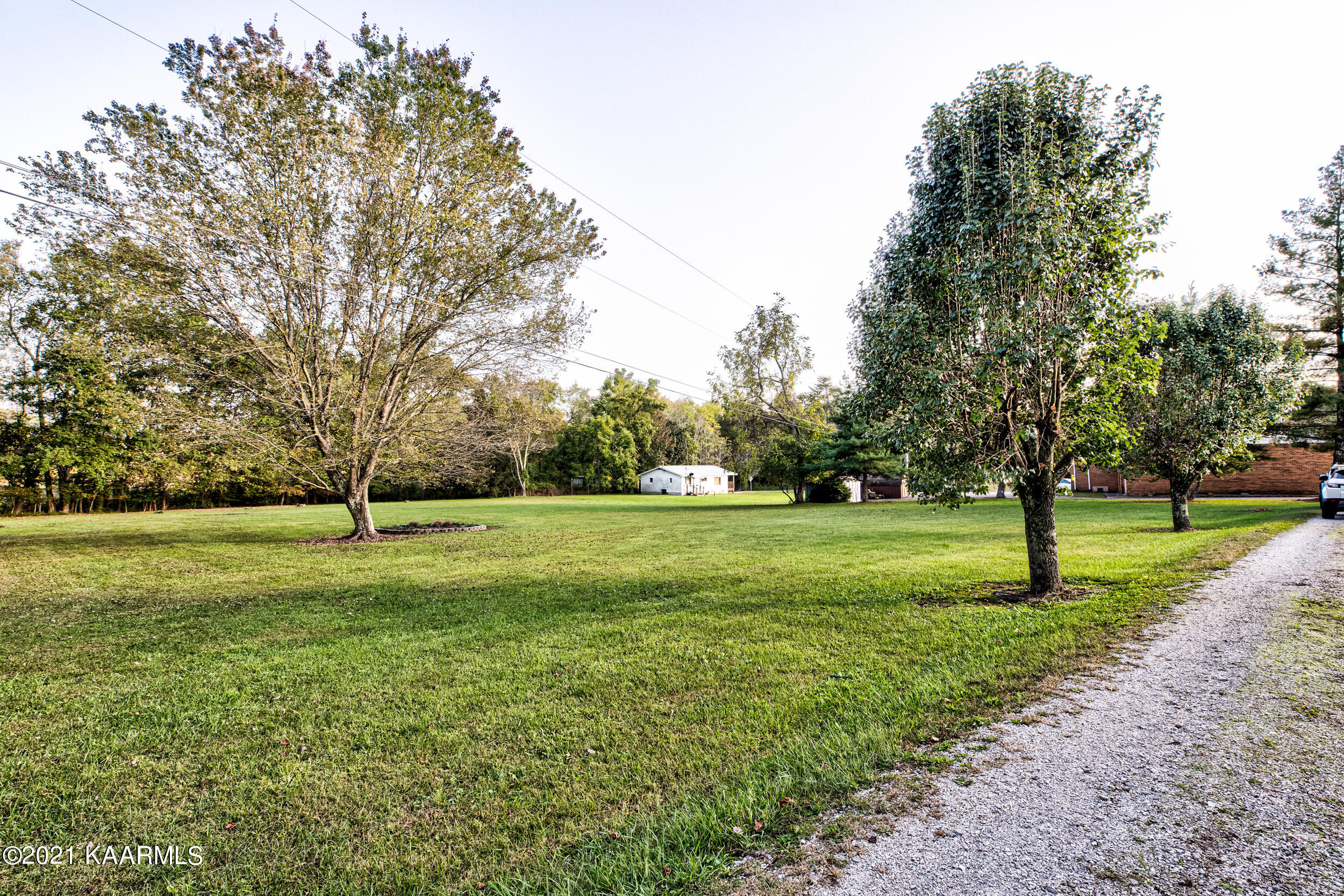 2349 Buffalo Road Oneida, TN 37841 - Photo 36 of 41 Front acreage