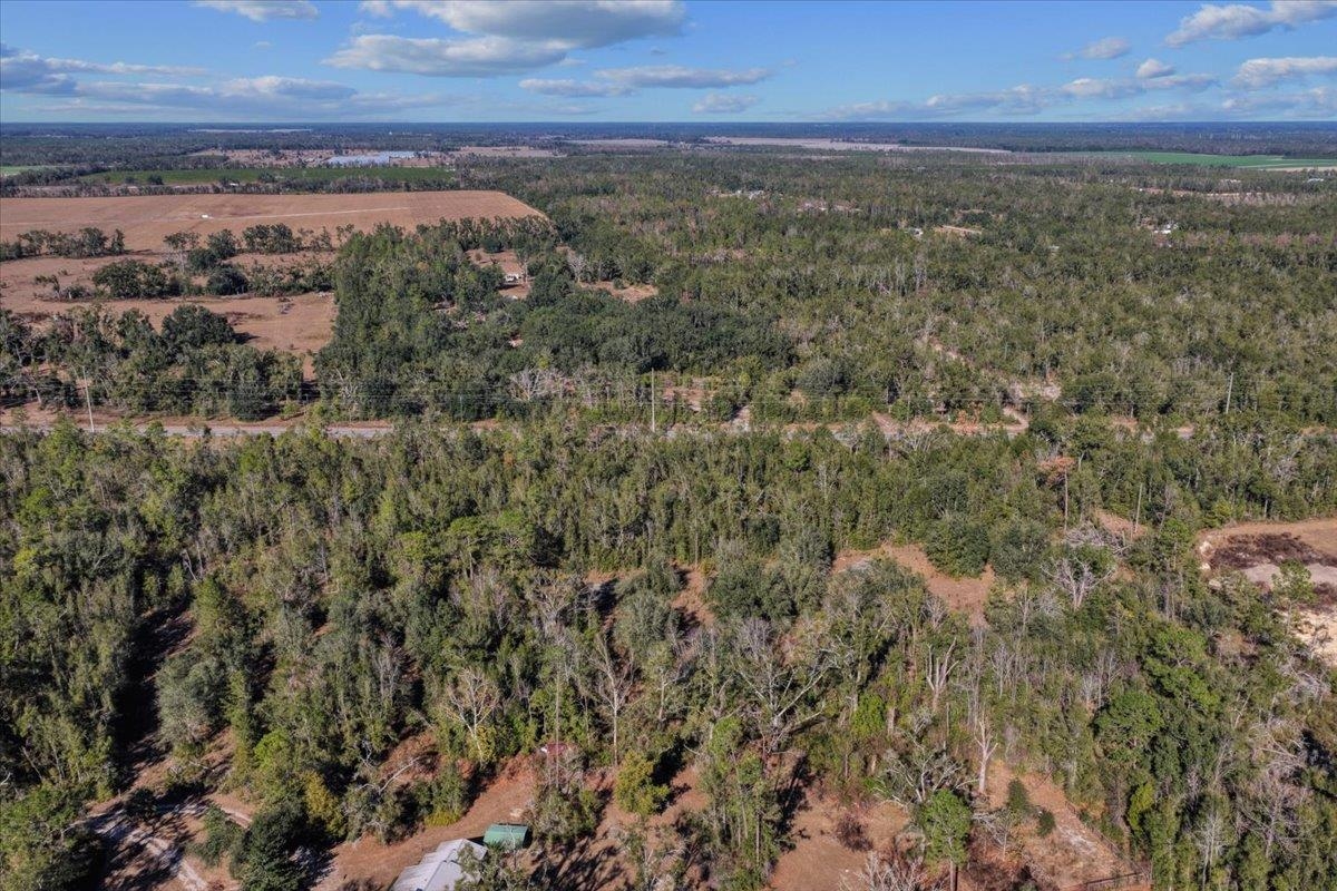 0 East Us Highway Lee, FL 32059 - Photo 3 of 14