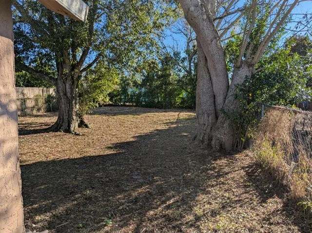 a view of a yard with plants and trees